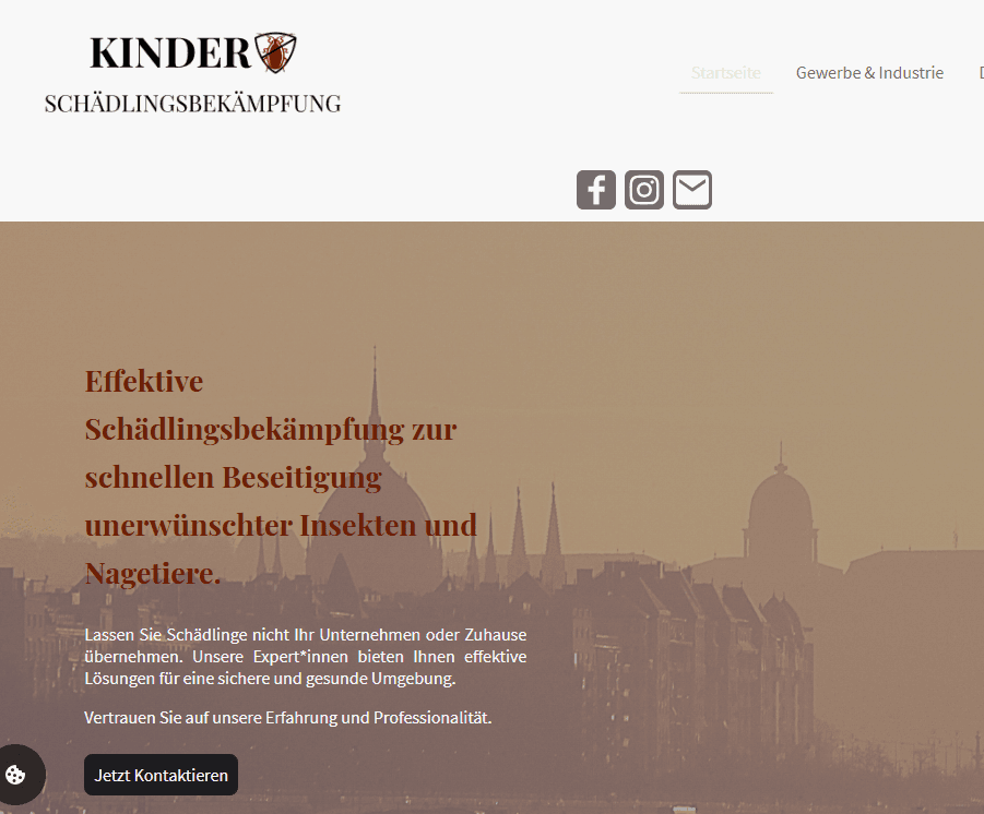 Kinder Schädlingsbekämpfung Website vorher – alte Startseite